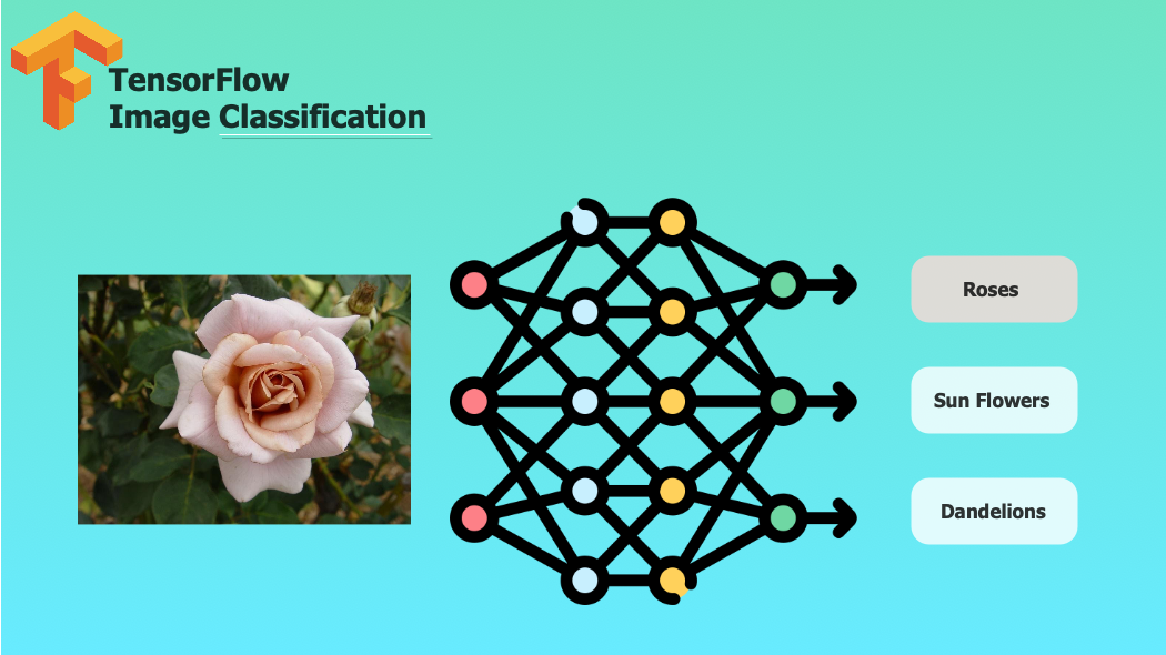 Image Classification